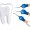 Scaling and Root Planing: The Gold Standard for Treating Gum Disease